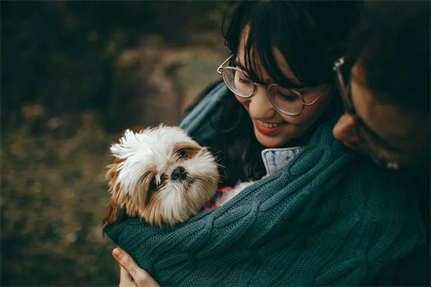 犬の社会化不足がもたらす本当のリスクとは？
